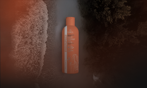 Marqity Digital Marketing Portfolio - Brand Identity Project