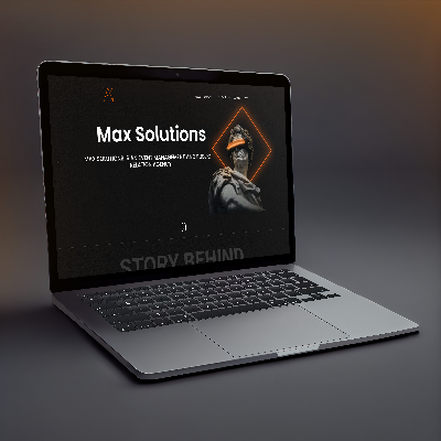 Max Solution  l professional website design